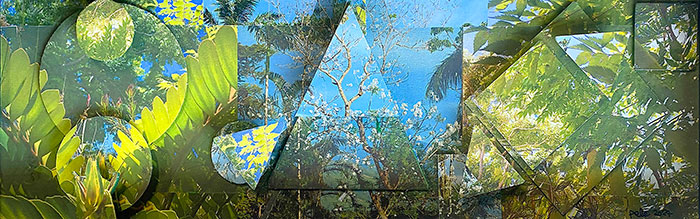 Pete Smith artwork - Flight of the butterfly